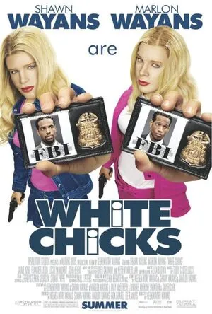 White Chicks 2004 Hindi Dual Audio HD Poster Download - Filmyzilla