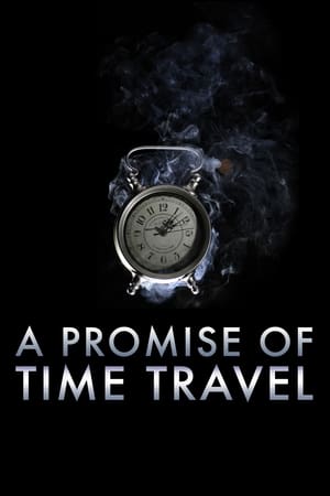 A Promise of Time Travel 2016 Hindi Dual Audio [750MB] HD Poster Download - Filmyzilla