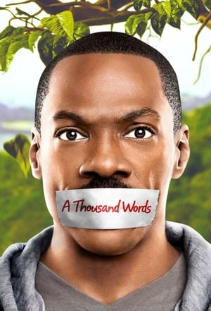 A Thousand Words (2012) Hindi Dual Audio 300MB HD Poster Download - Filmyzilla