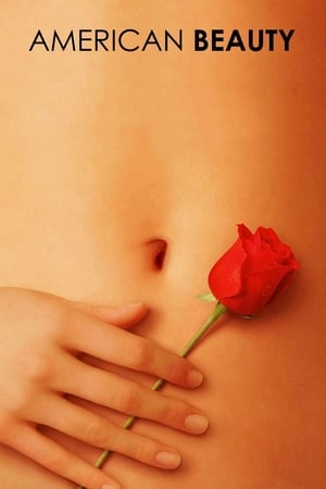 American Beauty 1999 Hindi Dual Audio HD Poster Download - Filmyzilla
