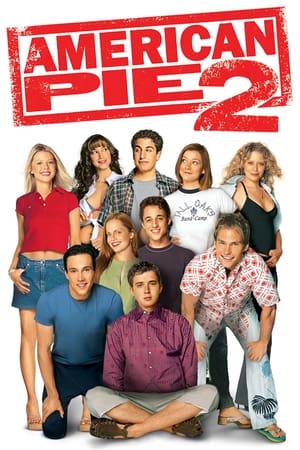American Pie 2 (2001) Hindi Dual Audio 375MB HD Poster Download - Filmyzilla