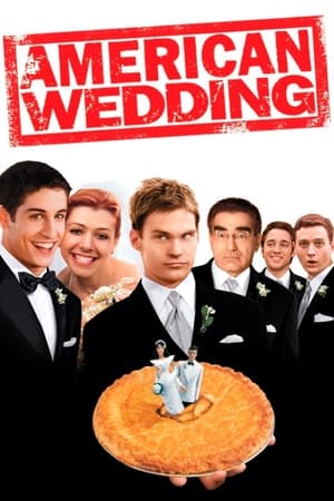 American Wedding (2003) Hindi Dual Audio [850MB] HD Poster Download - Filmyzilla