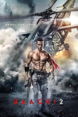 Baaghi 2 2018 Hindi Movie Pre- [170MB] HD Poster Download - Filmyzilla