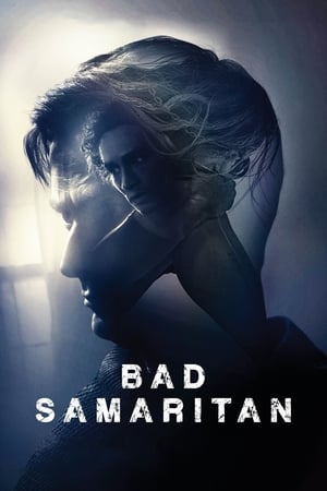 Bad Samaritan (2018) Hindi Dual Audio [1GB] HD Poster Download - Filmyzilla