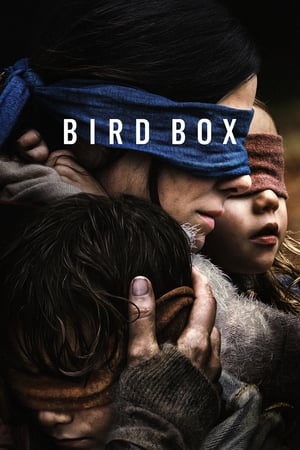 Bird Box 2018 Hindi (HQ DUBBED) Dual Audio 380MB HD Poster Download - Filmyzilla
