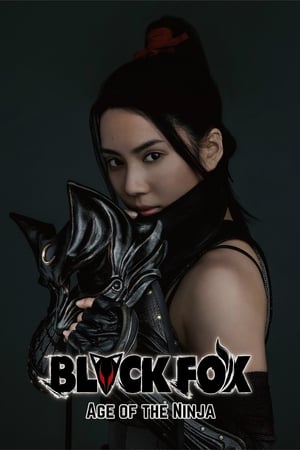Black Fox: Age of the Ninja 2019 Hindi Dual Audio – HD Poster Download - Filmyzilla