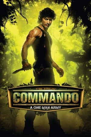 Commando (2013) Hindi [450MB] HD Poster Download - Filmyzilla
