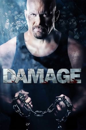 Damage 2009 Hindi Dual Audio 330MB HD Poster Download - Filmyzilla