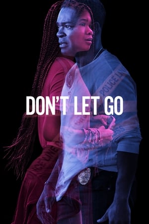 Don’t Let Go (2019) Hindi Dual Audio 350MB HD Poster Download - Filmyzilla