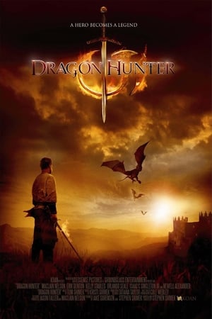 Dragon Hunter (2009) Hindi Dual Audio [1GB] HD Poster Download - Filmyzilla