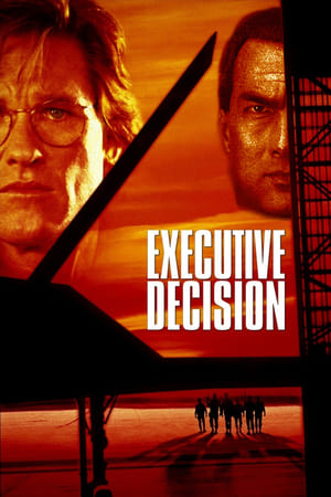 Executive Decision (1996) Hindi Dual Audio 400MB HD Poster Download - Filmyzilla