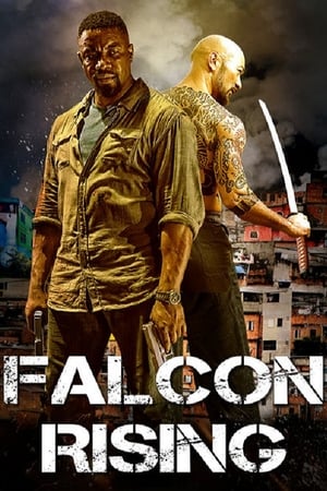 Falcon Rising (2014) Hindi Dual Audio [980MB] HD Poster Download - Filmyzilla