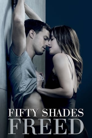 Fifty Shades Freed (2018) Hindi Dual Audio 400MB HD Poster Download - Filmyzilla