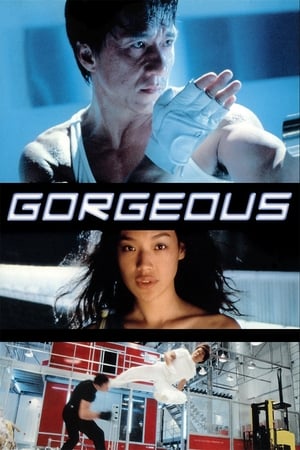 Gorgeous 1999 100mb Hindi Dual Audio movie Download HD Poster Download - Filmyzilla