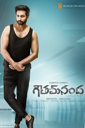 Goutham Nanda (2017) (Hindi – Telugu) Dual Audio – HD Poster Download - Filmyzilla