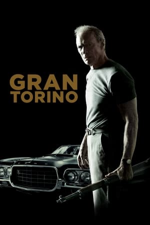 Gran Torino (2008) Hindi Dual Audio 390MB HD Poster Download - Filmyzilla