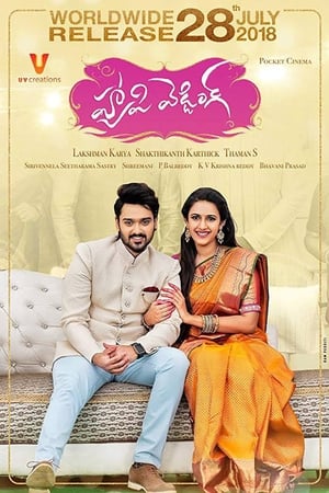 Happy Wedding (2018) (Hindi - Telugu) Dual Audio [1.4GB] HD Poster Download - Filmyzilla