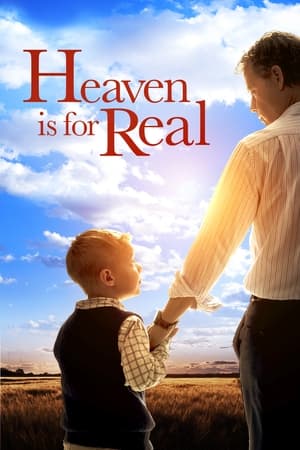 Heaven Is for Real (2014) Hindi Dual Audio 300MB HD Poster Download - Filmyzilla