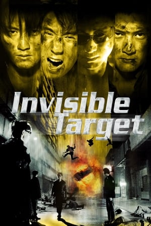 Invisible Target (2007) 140MB Dual Audio (Hindi) HD Poster Download - Filmyzilla