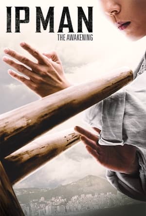 Ip Man: The Awakening (2022) Hindi Dual Audio – HD Poster Download - Filmyzilla