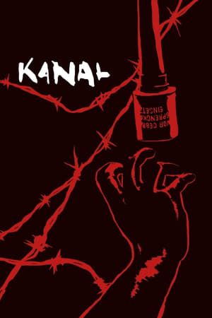 Kanal 2015 Hindi Dual Audio [1.3GB] HD Poster Download - Filmyzilla