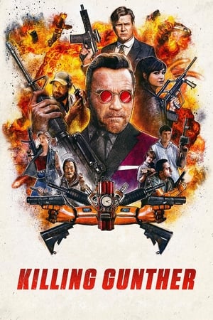 Killing Gunther 2017 Hindi Dual Audio 300MB HD Poster Download - Filmyzilla