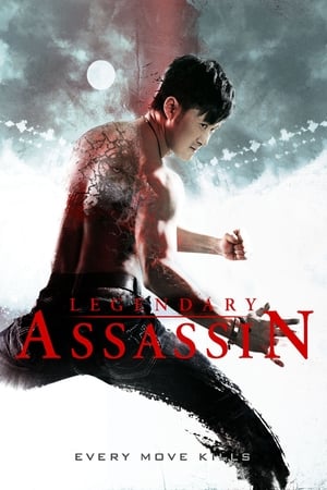 Legendary Assassin (2008) Hindi Dual Audio 300MB HD Poster Download - Filmyzilla