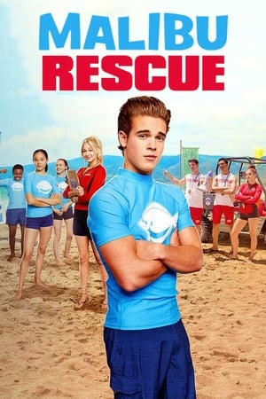 Malibu Rescue (2019) Hindi Dual Audio 650MB HD Poster Download - Filmyzilla