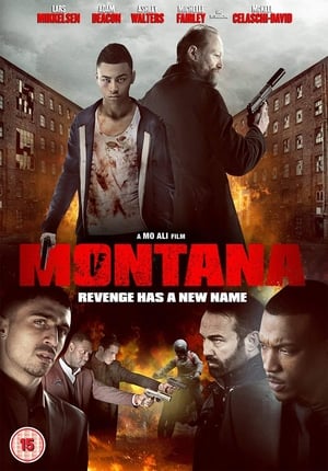 Montana (2014) Hindi Dual Audio [900MB] HD Poster Download - Filmyzilla