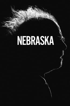 Nebraska 2013 Dual Audio Hindi 300MB HD Poster Download - Filmyzilla