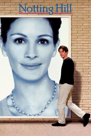 Notting Hill 1999 Hindi Dual Audio 380MB HD Poster Download - Filmyzilla