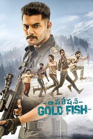 Operation Gold Fish 2019 (Hindi - Telugu) Dual Audio 360MB HD Poster Download - Filmyzilla