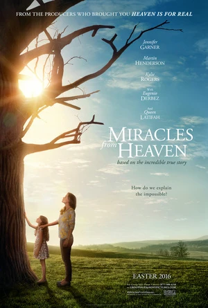 Heaven Is for Real 2014 Hindi Dual Audio HD Poster Download - Filmyzilla