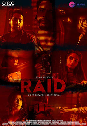 Raid 2019 Hindi Movie [650MB] HD Poster Download - Filmyzilla