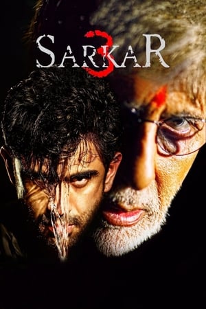 Sarkar 3 (2017) Full Movie (Hindi) [700MB] Download HD Poster Download - Filmyzilla