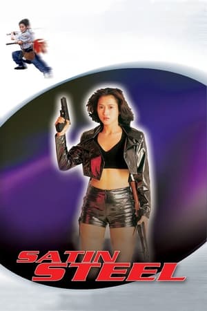 Satin Steel (1994) Hindi Dual Audio 260MB HD Poster Download - Filmyzilla