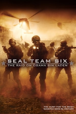 Seal Team Six: The Raid on Osama Bin Laden (2012) Hindi Dual Audio 300MB HD Poster Download - Filmyzilla