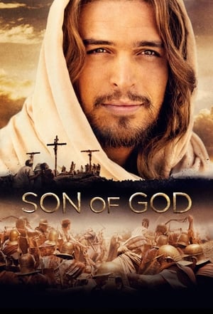Son of God 2014 Hindi Dual Audio 450MB HD Poster Download - Filmyzilla