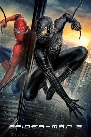 Spider-Man 3 (2007) Movie Hindi Dual Audio [800MB] HD Poster Download - Filmyzilla