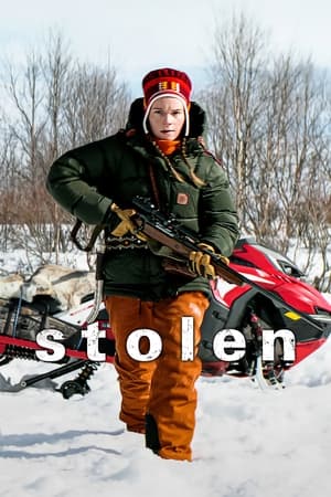 Stolen (2024) Hindi Dual Audio – 720p – HD Poster Download - Filmyzilla