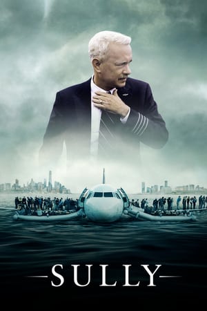 Sully (2016) Hindi (Unofficial Dubbed) Dual Audio [] [720p] HD Poster Download - Filmyzilla