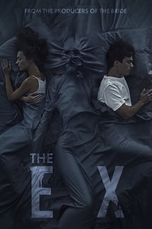 The Ex (2021) Hindi Dual Audio – HD Poster Download - Filmyzilla