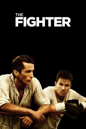 The Fighter (2010) Hindi Dual Audio 360MB HD Poster Download - Filmyzilla