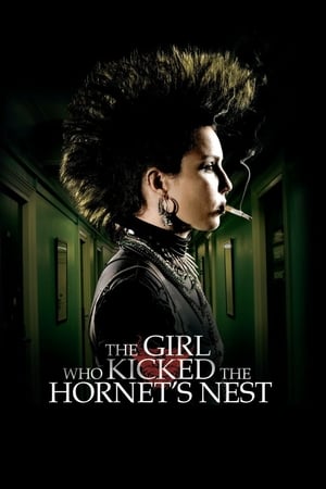 The Girl Who Kicked the Hornet's Nest (2009) Hindi Dual Audio 450MB HD Poster Download - Filmyzilla