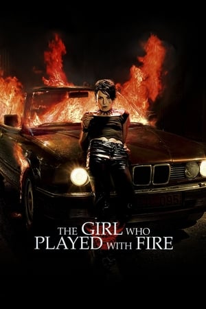 The Girl Who Played with Fire (2009) Hindi Dual Audio 330MB HD Poster Download - Filmyzilla