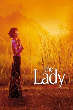 The Lady 2011 Dual Audio Hindi 400MB HD Poster Download - Filmyzilla