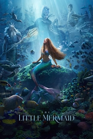 The Little Mermaid (2023) Hindi (ORG 5.1) HD Poster Download - Filmyzilla
