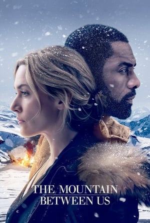 The Mountain Between Us 2017 Dual Audio Hindi [1GB] HD Poster Download - Filmyzilla