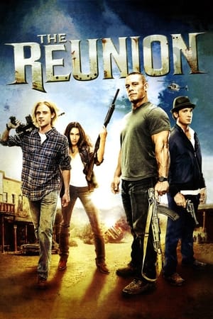 The Reunion (2011) Hindi Dual Audio 300MB HD Poster Download - Filmyzilla