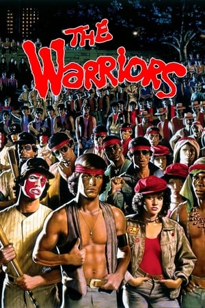 The Warriors 1979 Hindi Dual Audio 300MB HD Poster Download - Filmyzilla